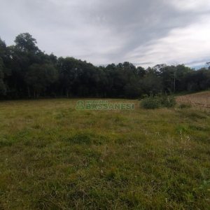 Chácara com 63810m², no bairro Cruzeiro em Caxias do Sul para Comprar