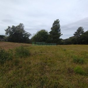 Chácara com 63810m², no bairro Cruzeiro em Caxias do Sul para Comprar