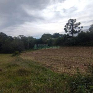 Chácara com 63810m², no bairro Cruzeiro em Caxias do Sul para Comprar