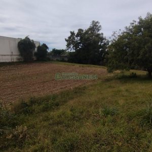 Chácara com 63810m², no bairro Cruzeiro em Caxias do Sul para Comprar