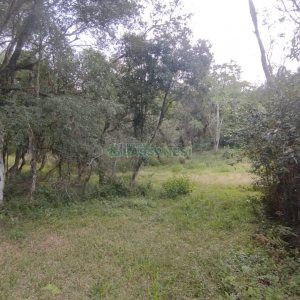 Chácara com 63810m², no bairro Cruzeiro em Caxias do Sul para Comprar