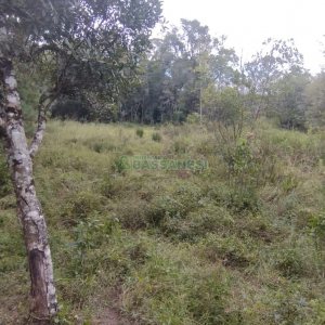 Chácara com 63810m², no bairro Cruzeiro em Caxias do Sul para Comprar