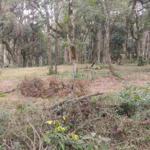 Chácara com 63810m², no bairro Cruzeiro em Caxias do Sul para Comprar