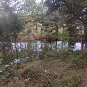 Chácara com 63810m², no bairro Cruzeiro em Caxias do Sul para Comprar