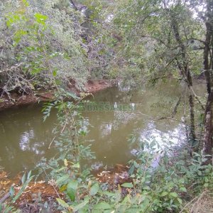 Chácara com 63810m², no bairro Cruzeiro em Caxias do Sul para Comprar