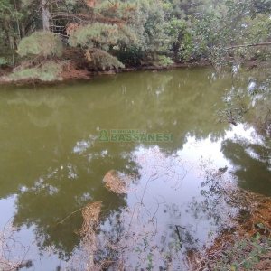 Chácara com 63810m², no bairro Cruzeiro em Caxias do Sul para Comprar