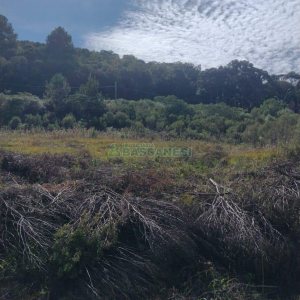 Chácara com 63810m², no bairro Cruzeiro em Caxias do Sul para Comprar