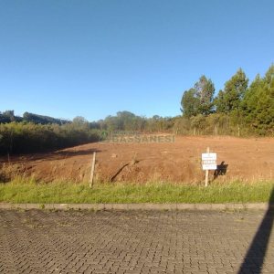 Terreno, no bairro Monte Bérico em Caxias do Sul para Comprar
