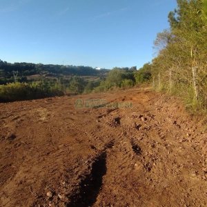 Terreno, no bairro Monte Bérico em Caxias do Sul para Comprar