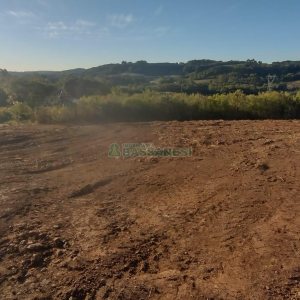 Terreno, no bairro Monte Bérico em Caxias do Sul para Comprar