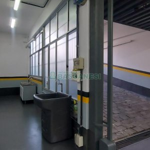Pavilhão com 250m², no bairro Colina Sorriso em Caxias do Sul para Alugar