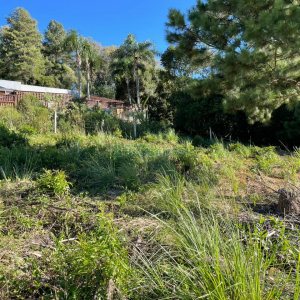 Terreno com 720m², no bairro Santa Lúcia em Caxias do Sul para Comprar