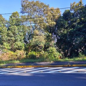 Terreno, no bairro Altos do Seminario em Caxias do Sul para Comprar