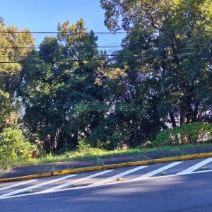 Terreno, no bairro Altos do Seminario em Caxias do Sul para Comprar