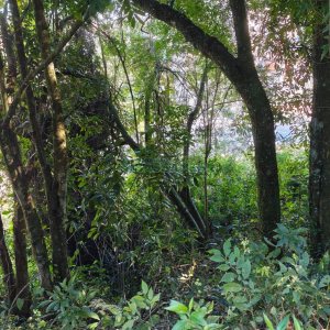 Terreno, no bairro Altos do Seminario em Caxias do Sul para Comprar