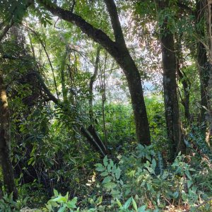 Terreno, no bairro Altos do Seminario em Caxias do Sul para Comprar