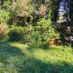 Terreno, no bairro Altos do Seminario em Caxias do Sul para Comprar