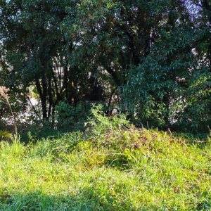 Terreno, no bairro Altos do Seminario em Caxias do Sul para Comprar