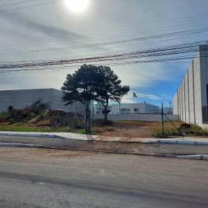 Terreno com 3000m², no bairro Desvio Rizzo em Caxias do Sul para Alugar