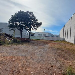 Pavilhão com 2400m², no bairro Desvio Rizzo em Caxias do Sul para Alugar