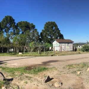 Terreno, no bairro Ana Rech em Caxias do Sul para Comprar