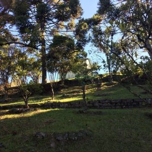 Terreno, no bairro Ana Rech em Caxias do Sul para Comprar