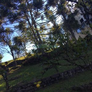 Terreno, no bairro Ana Rech em Caxias do Sul para Comprar