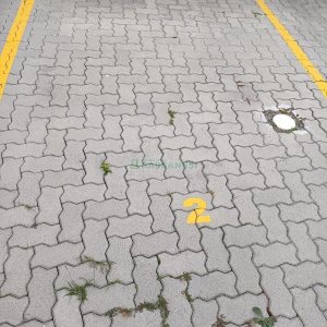 Apto Mobiliado com 56m², 2 dormitórios, 1 vaga, no bairro Presidente Vargas em Caxias do Sul para Alugar