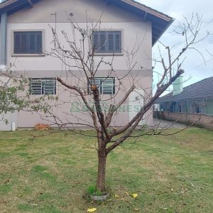 Casa com 216m², 3 dormitórios, 4 vagas, no bairro Nossa Senhora de Fátima em Caxias do Sul para Alugar
