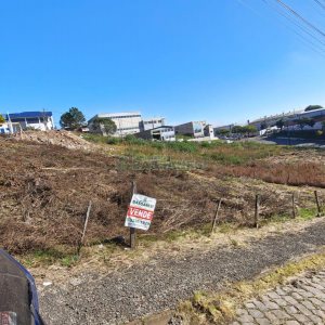 Terreno, no bairro Sanvitto em Caxias do Sul para Comprar