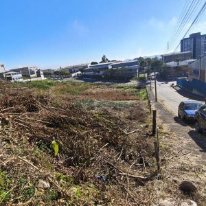 Terreno, no bairro Sanvitto em Caxias do Sul para Comprar