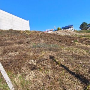 Terreno, no bairro Sanvitto em Caxias do Sul para Comprar