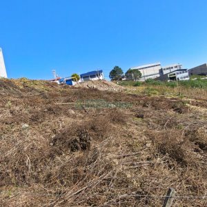 Terreno, no bairro Sanvitto em Caxias do Sul para Comprar