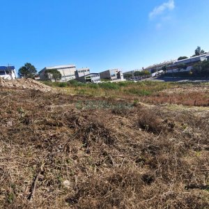 Terreno, no bairro Sanvitto em Caxias do Sul para Comprar