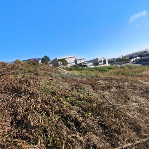 Terreno, no bairro Sanvitto em Caxias do Sul para Comprar