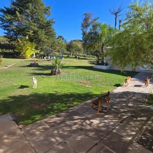 Chácara com 540m², 4 dormitórios, 1 vaga, no bairro Samuara em Caxias do Sul para Comprar