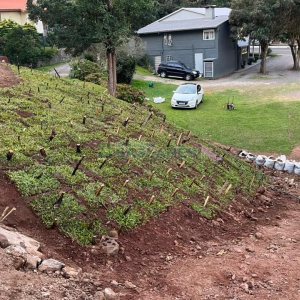 Terreno, no bairro Santa Corona em Caxias do Sul para Comprar