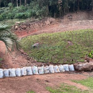 Terreno, no bairro Santa Corona em Caxias do Sul para Comprar