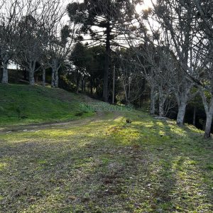 Chácara com 1300m², no bairro Forqueta em Caxias do Sul para Alugar