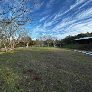 Chácara com 1300m², no bairro Forqueta em Caxias do Sul para Alugar