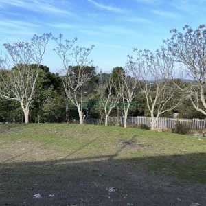 Chácara com 1300m², no bairro Forqueta em Caxias do Sul para Alugar