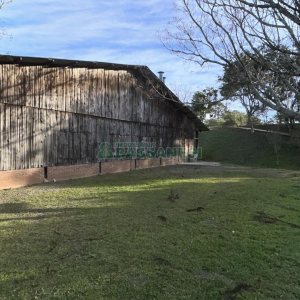 Chácara com 1300m², no bairro Forqueta em Caxias do Sul para Alugar