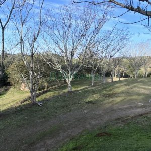 Chácara com 1300m², no bairro Forqueta em Caxias do Sul para Alugar