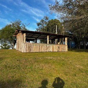 Chácara com 1300m², no bairro Forqueta em Caxias do Sul para Alugar