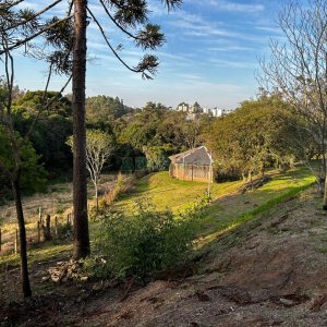 Chácara com 1300m², no bairro Forqueta em Caxias do Sul para Alugar