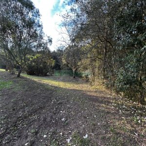 Chácara com 1300m², no bairro Forqueta em Caxias do Sul para Alugar