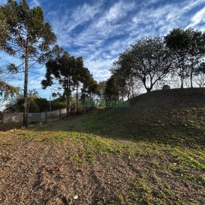 Chácara com 1300m², no bairro Forqueta em Caxias do Sul para Alugar
