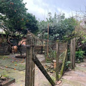 Casa com 200m², 4 dormitórios, 3 vagas, no bairro Nossa Senhora de Lourdes em Caxias do Sul para Comprar