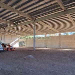 Pavilhão com 5000m², no bairro Forqueta em Caxias do Sul para Alugar