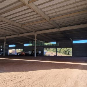Pavilhão com 5000m², no bairro Forqueta em Caxias do Sul para Alugar
